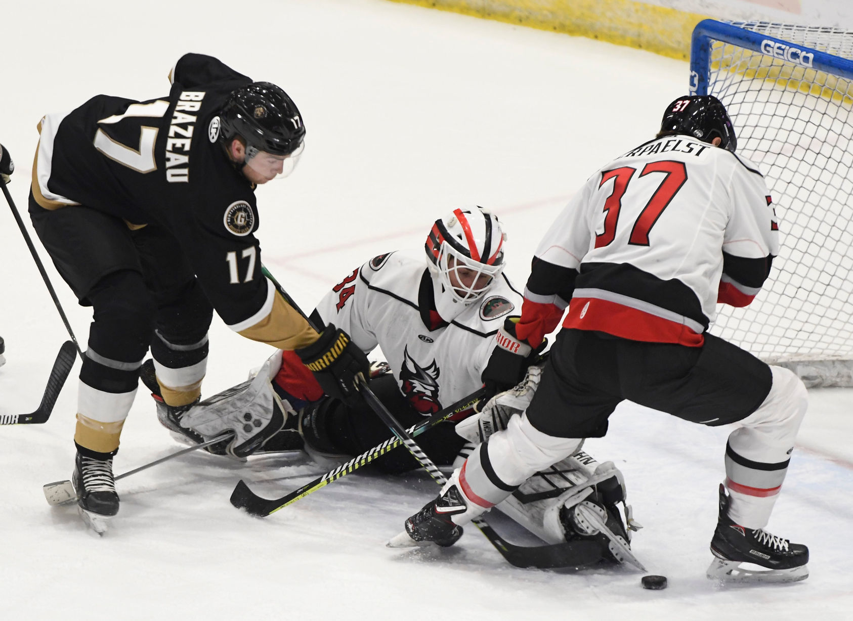 Thunder vs. Newfoundland